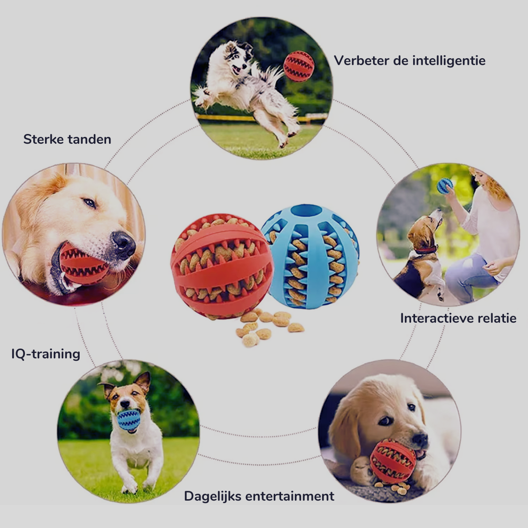 DentalGrip Clean Ball™|Meer dan een speeltje – dagelijkse mondverzorging in beweging